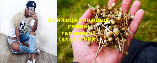 мескалин Армянск