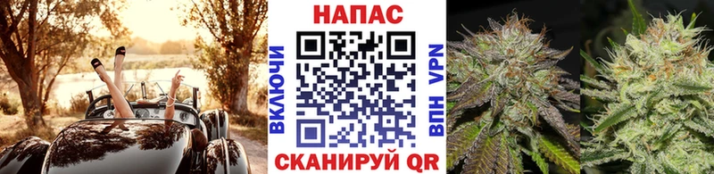 Марихуана план  Бабушкин 